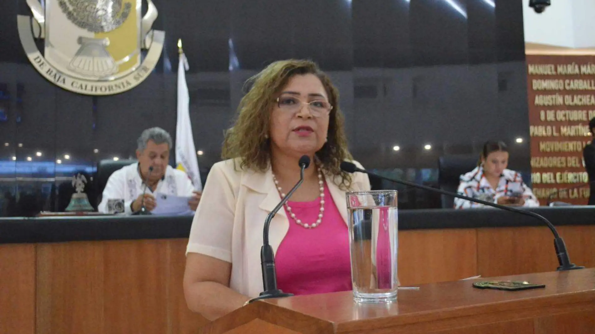 Maria Luisa Ojeda diputada